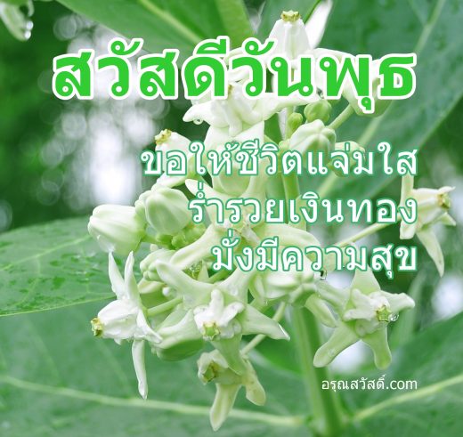 สวัสดีวันพุธ