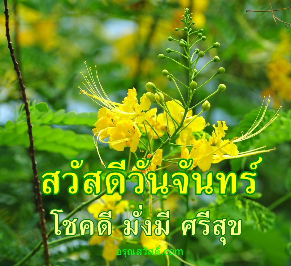สวัสดีวันจันทร์