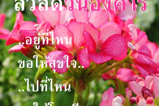 สวัสดีวันอังคาร