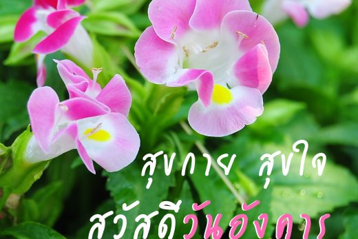 สวัสดีวันอังคาร