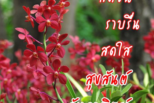 สวัสดีวันอาทิตย์
