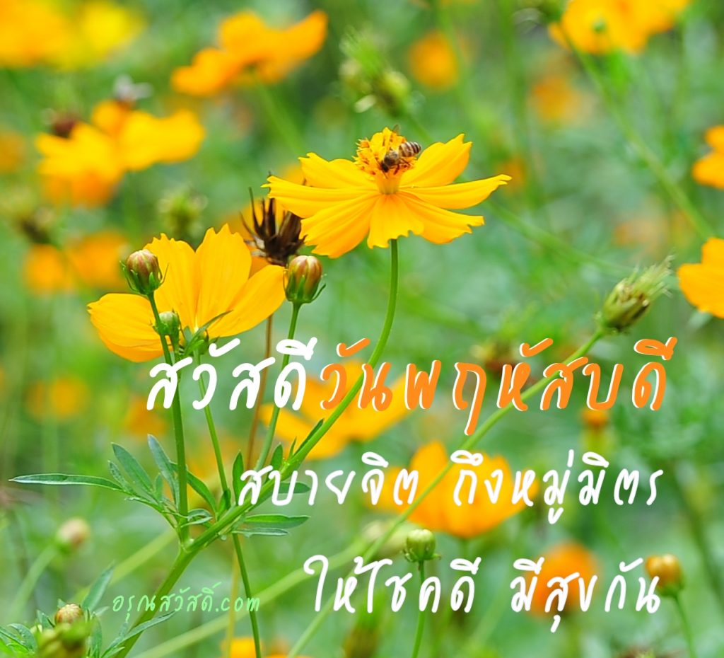 สวัสดีวันพฤหัสบดี