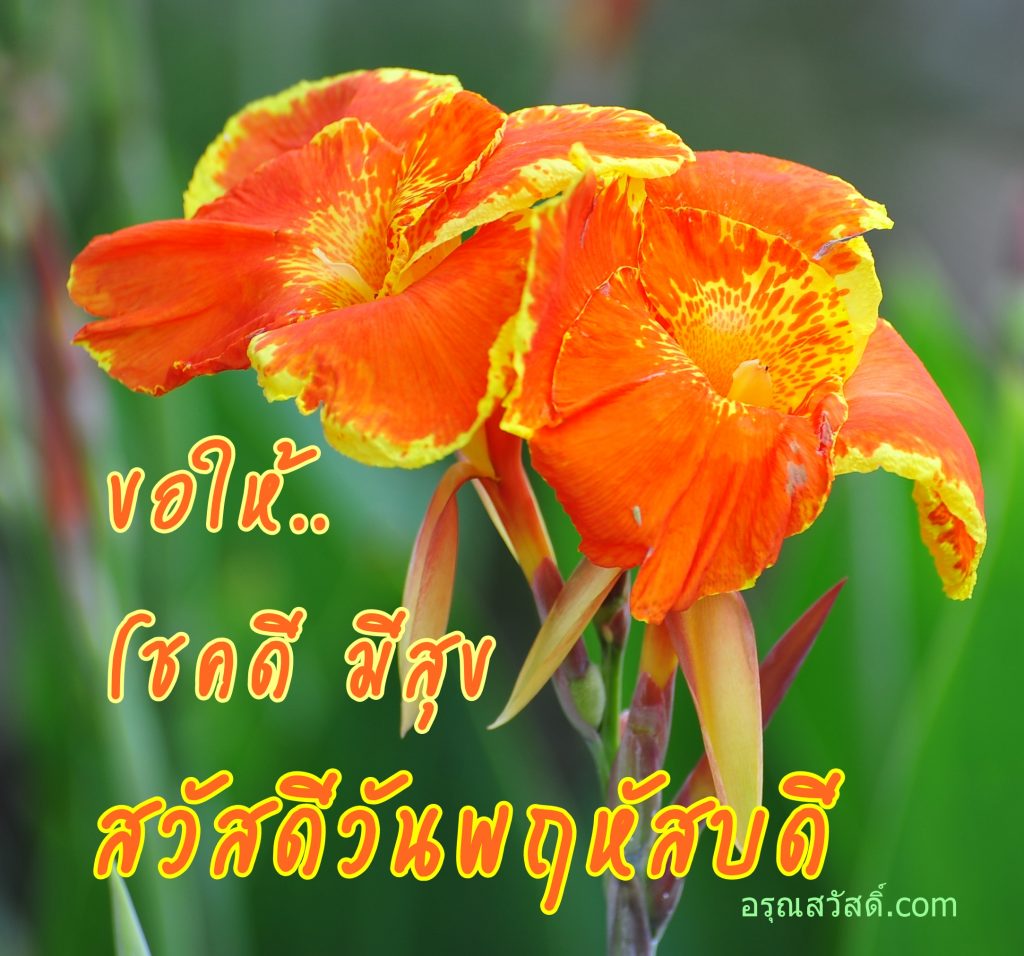 สวัสดีวันพฤหัสบดี
