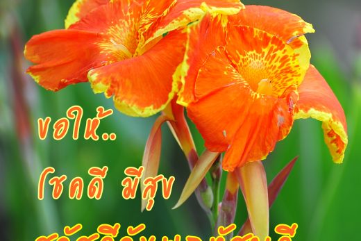 สวัสดีวันพฤหัสบดี