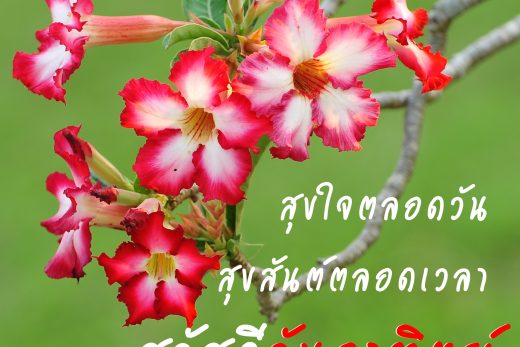 สวัสดีวันอาทิตย์