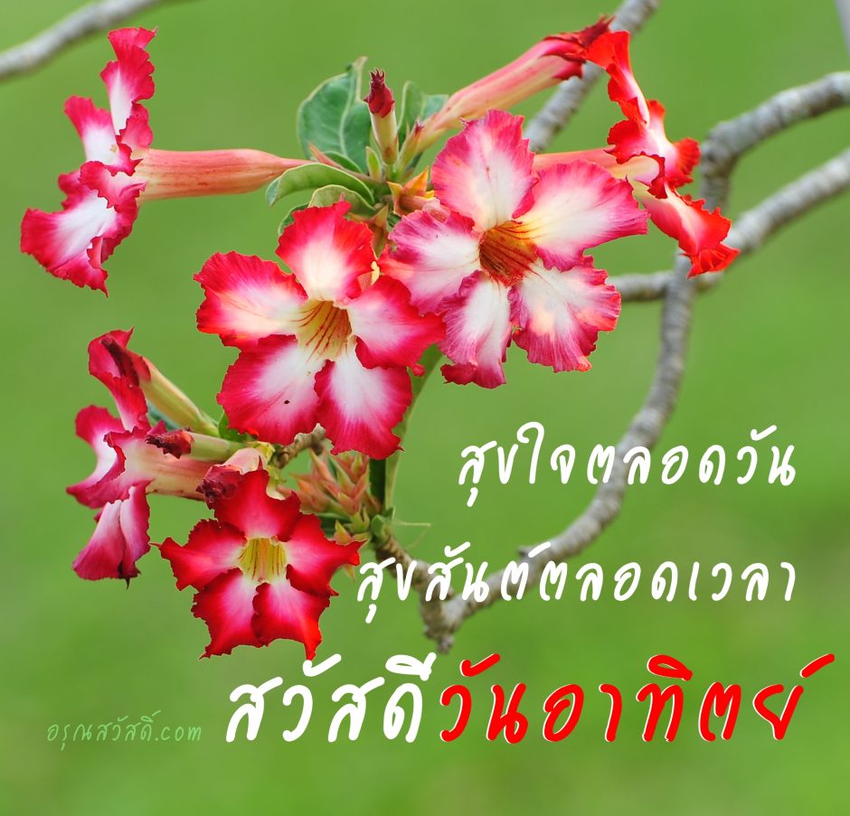 สวัสดีวันอาทิตย์