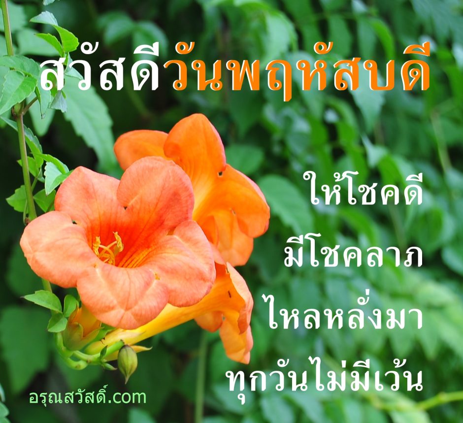สวัสดีวันพฤหัสบดี