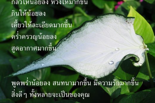 คำคมชีวิต