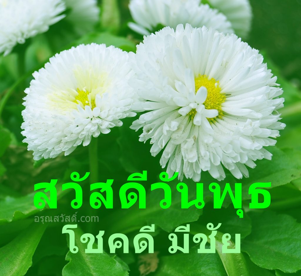 สวัสดีวันพุธ