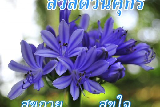 สวัสดีวันศุกร์