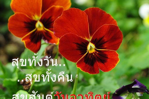 สวัสดีวันอาทิตย์