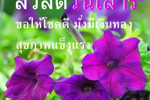สวัสดีวันเสาร์