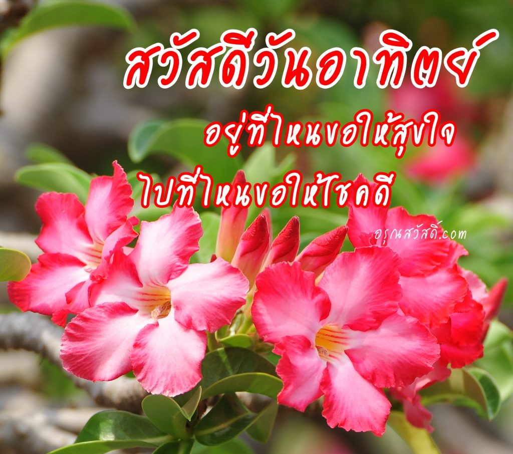สวัสดีวันอาทิตย์