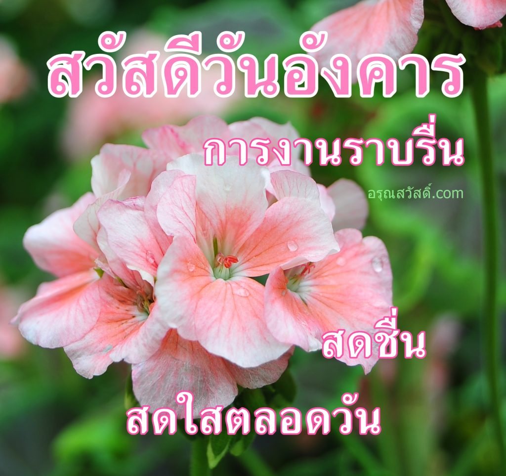 สวัสดีวันอังคาร