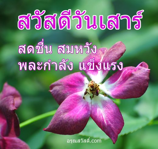 สวัสดีวันเสาร์
