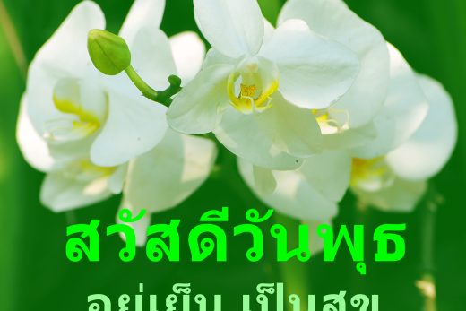 สวัสดีวันพุธ
