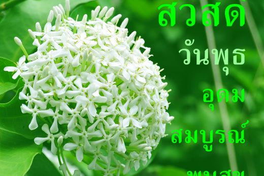 สวัสดีวันพุธ