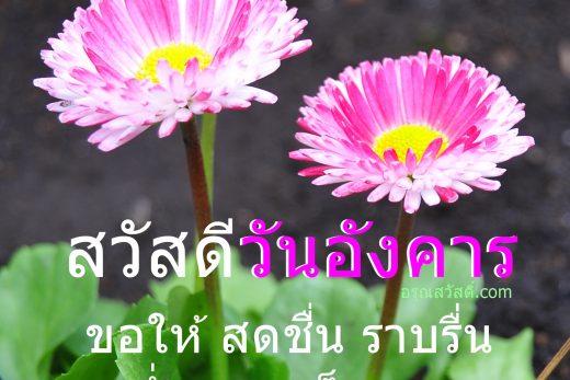 สวัสดีวันอังคาร