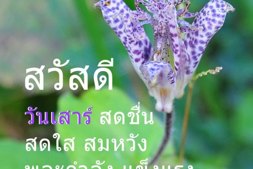 สวัสดีวันเสาร์