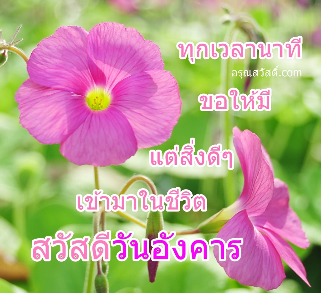 สวัสดีวันอังคาร