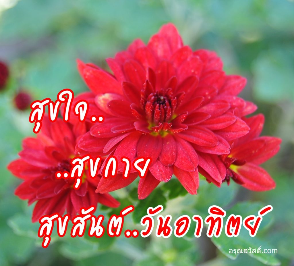 สวัสดีวันอาทิตย์