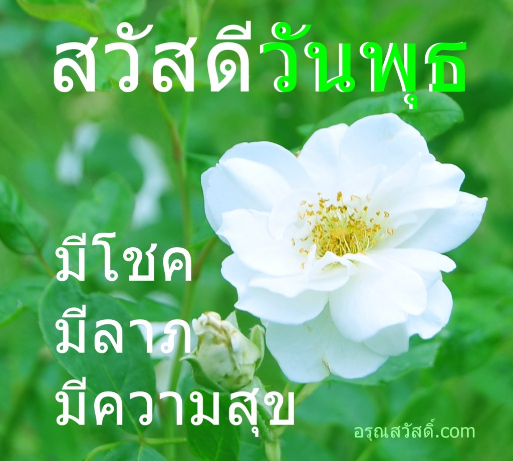 สวัสดีวันพุธ