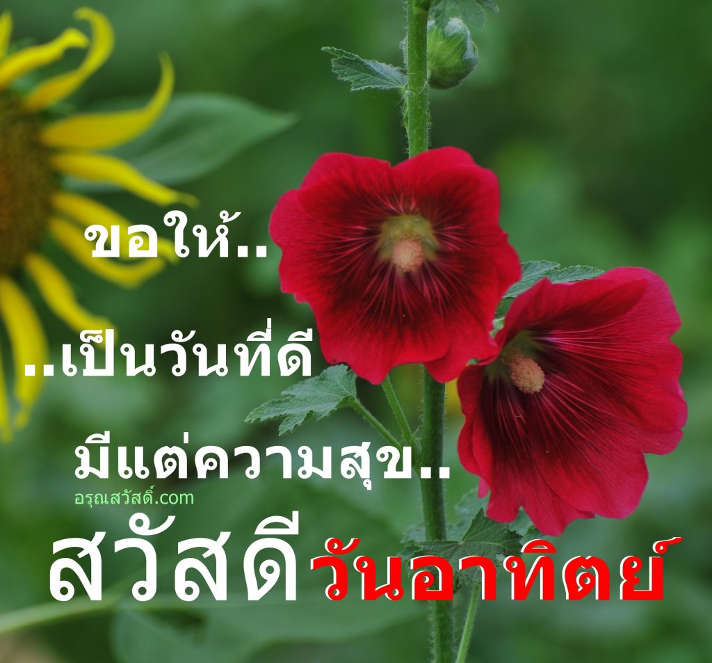 สวัสดีวันอาทิตย์