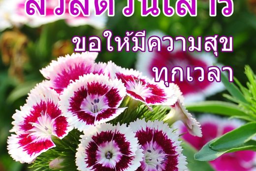 สวัสดีวันเสาร์