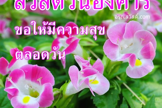 สวัสดีวันอังคาร