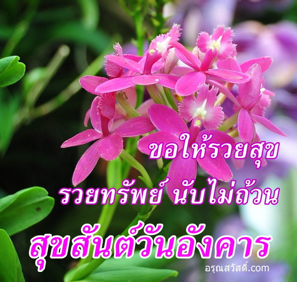 สวัสดีวันอังคาร