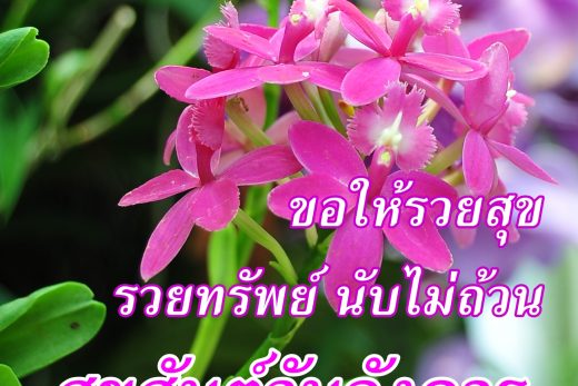 สวัสดีวันอังคาร