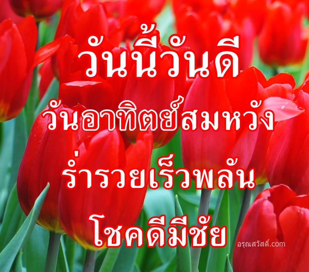 สวัสดีวันอาทิตย์