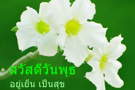 สวัสดีวันพุธ