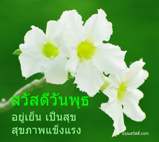 สวัสดีวันพุธ