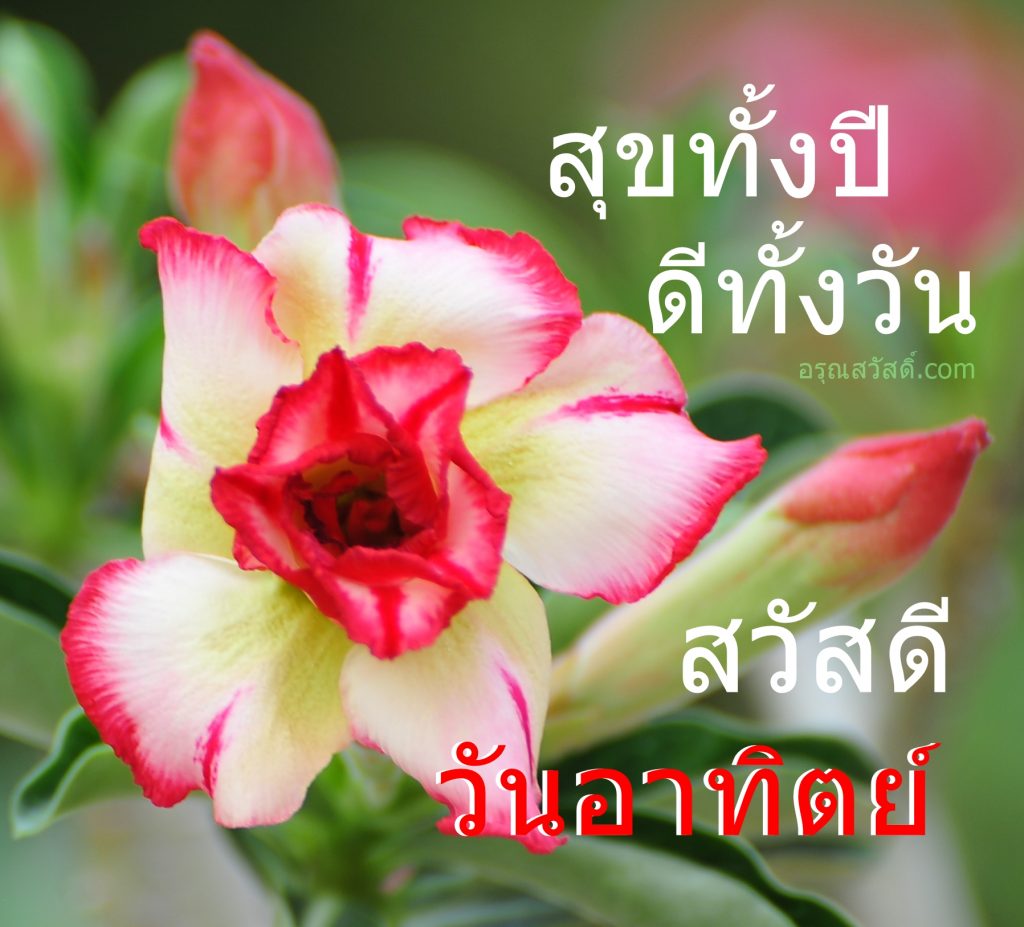 สวัสดีวันอาทิตย์