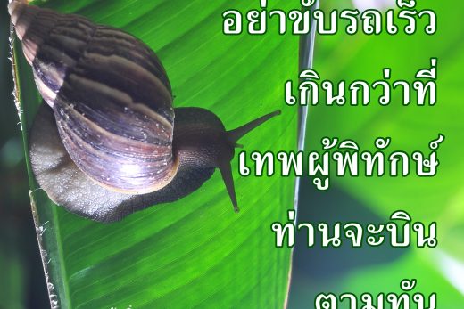คำคมชีวิต
