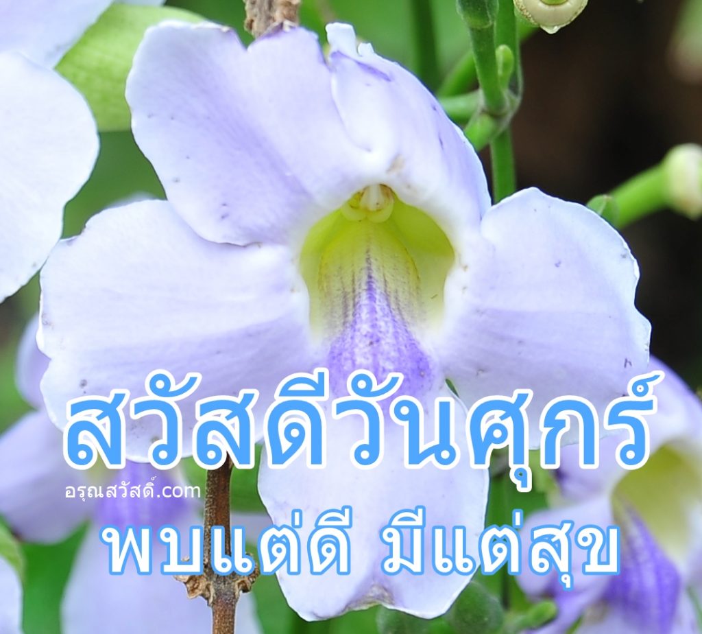 สวัสดีวันศุกร์