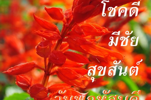 สวัสดีวันพฤหัสบดี