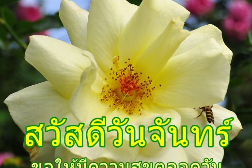 สวัสดีวันจันทร์