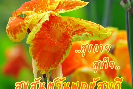 สวัสดีวันพฤหัสบดี