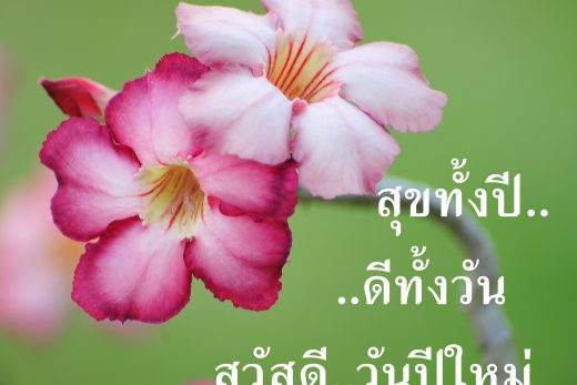 สวัสดีปีใหม่