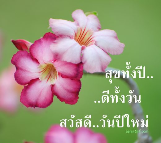 สวัสดีปีใหม่