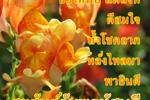 อรุณสวัสดิ์วันพฤหัสบดี