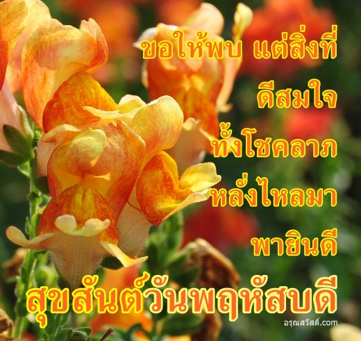 อรุณสวัสดิ์วันพฤหัสบดี