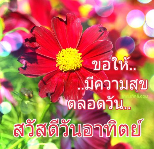 สวัสดีวันอาทิตย์