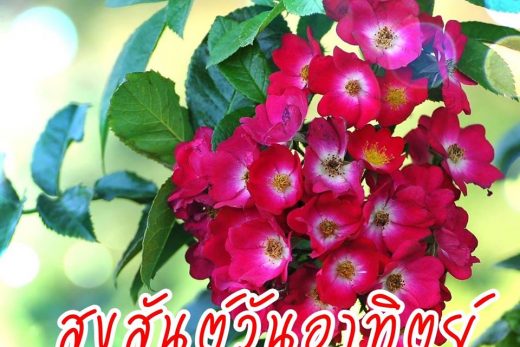 สวัสดีวันอาทิตย์