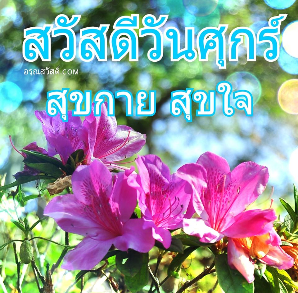 สวัสดีวันศุกร์
