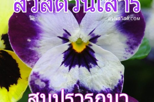 สวัสดีวันเสาร์