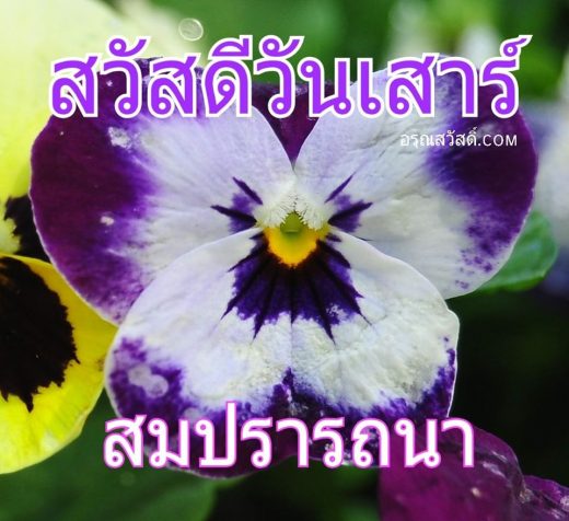สวัสดีวันเสาร์