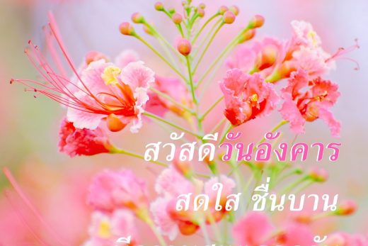 สวัสดีวันอังคาร